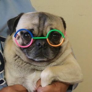 Meet your Posher, Alma a